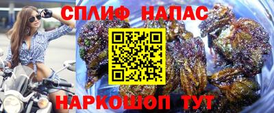 кокс Гагарин
