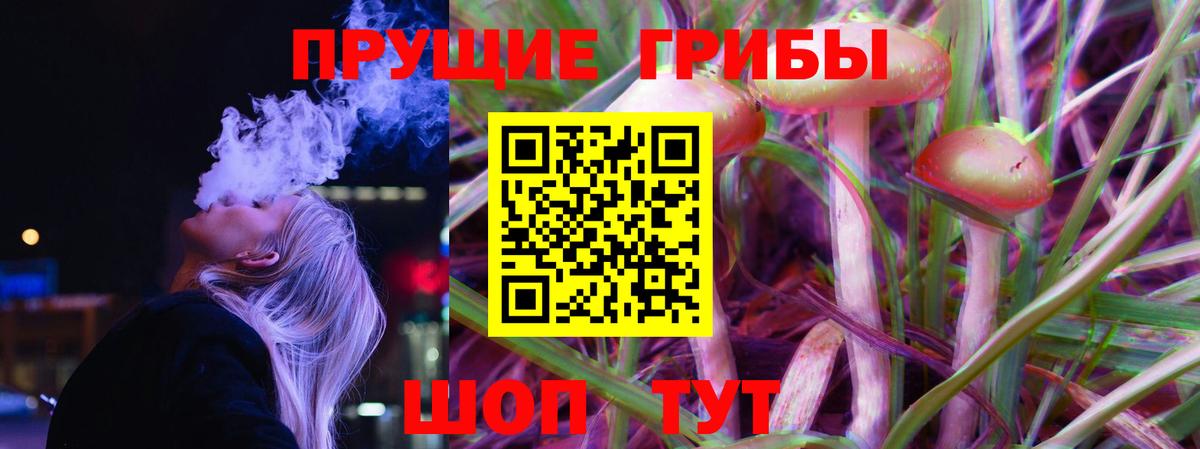 Ярославль  Псилоцибиновые грибы Psilocybine cubensis  Вход с VPN 